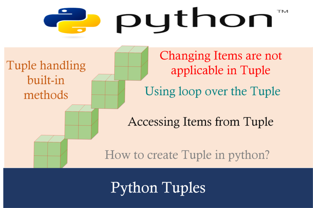 python tuple assignment ignore