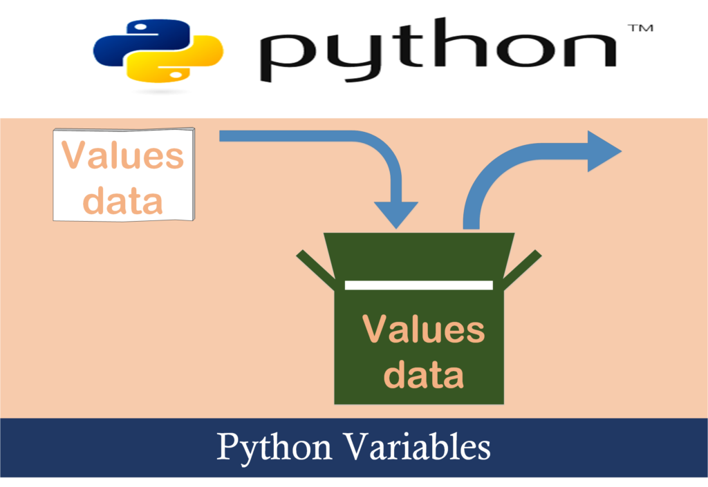 python variable assignment from