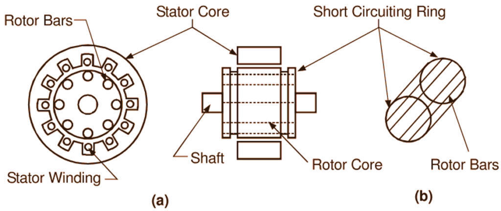 What Is Squirrel Cage Induction Motor? Working Principle, Construction ...