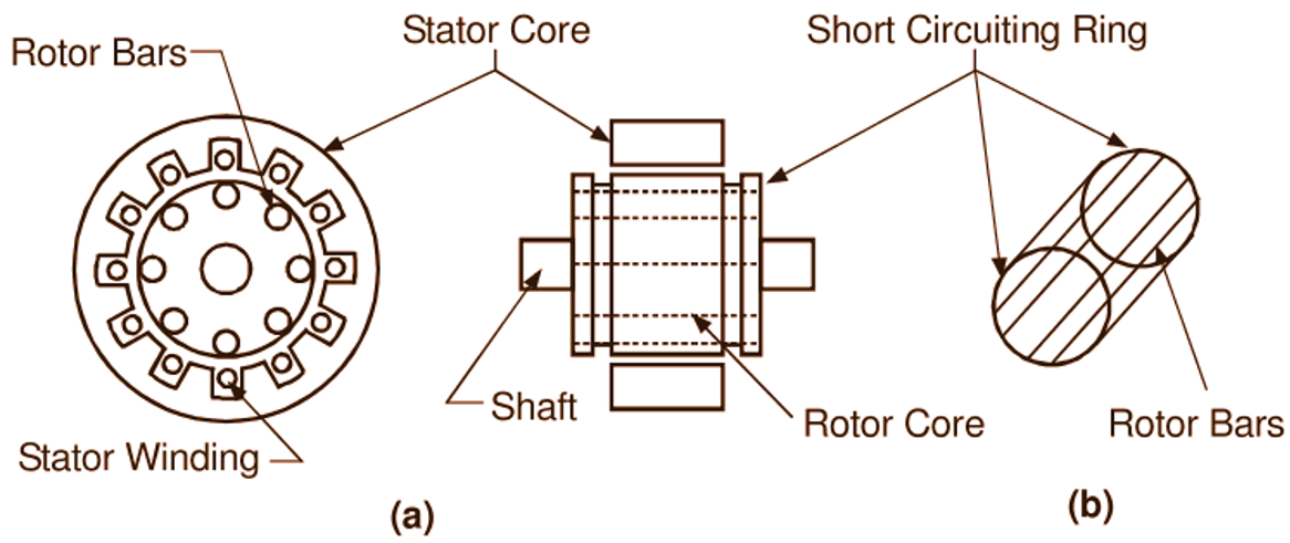 Applications squirrel motor cage induction Difference between