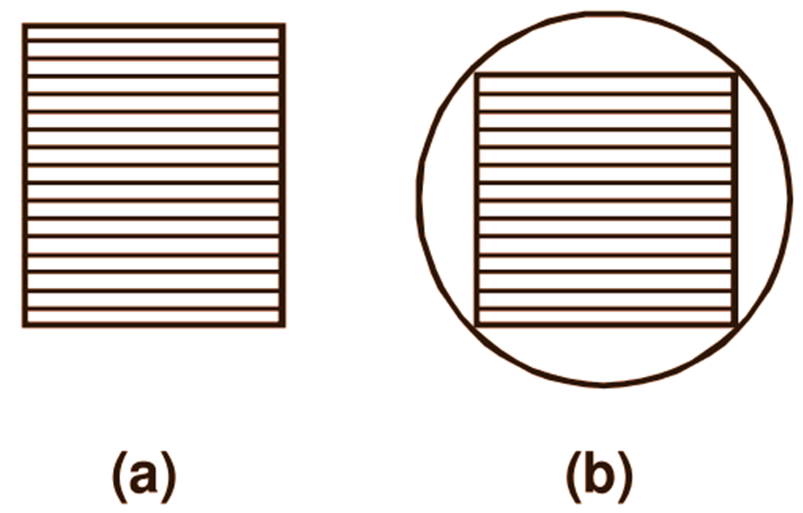 transformer limbs