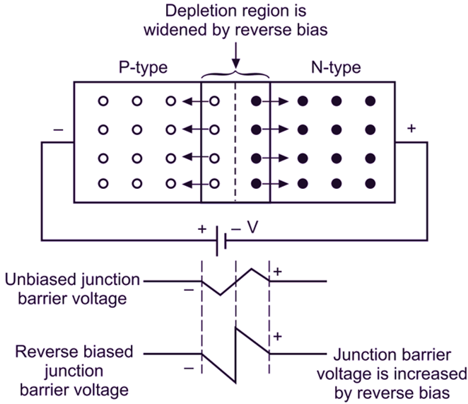 Aboard syndrome Accor Reverse Biasing of PN Junction Diode - Definition, Theory & Diagram -  ElectricalWorkbook