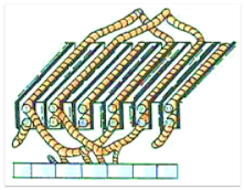 What is Armature Winding - Definition, Theory, Diagram & Types