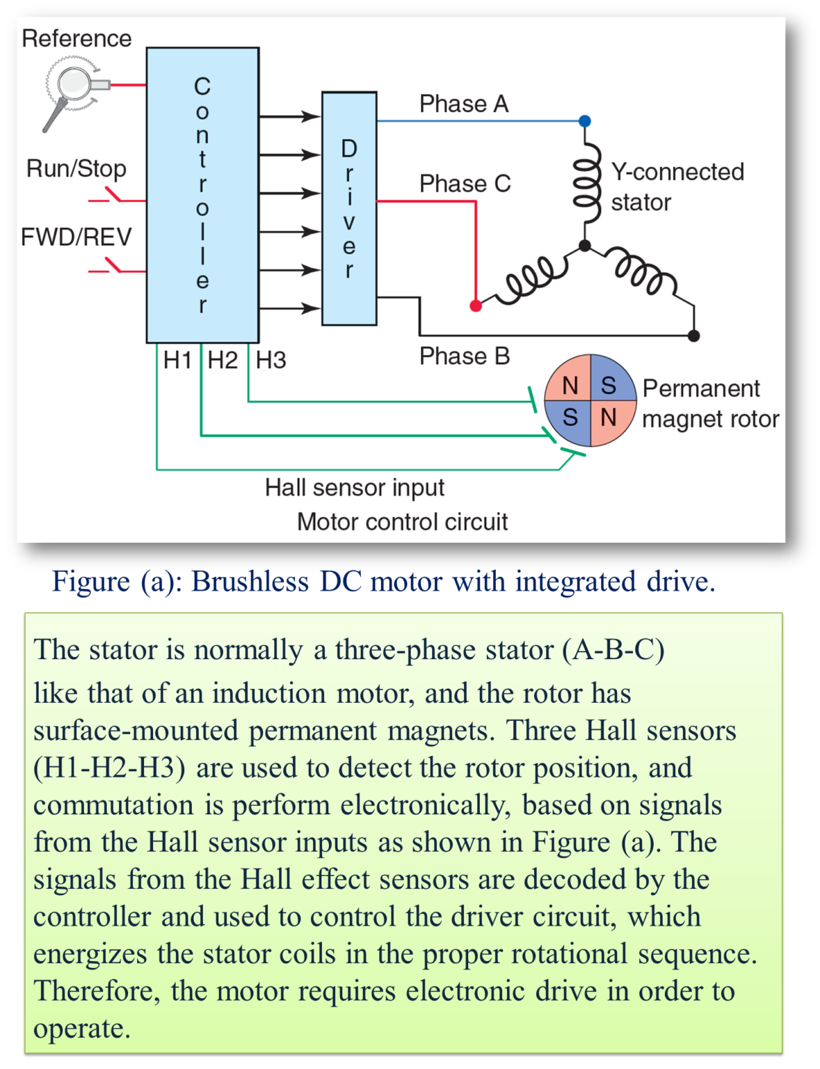 What is Brushless DC Motor (BLDC Motor)? Working, Diagram ...