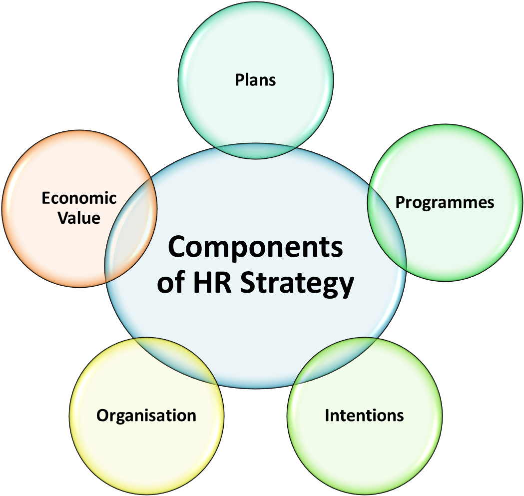 what-is-hr-strategy-meaning-objectives-components-types