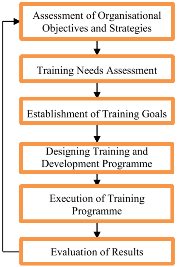 What Is Training Process Steps Explanation ElectricalWorkbook