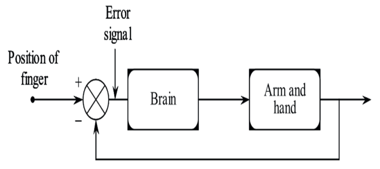 what-is-control-system-theory-diagram-elements-examples