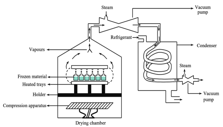 What is Freeze Dryer? Working Principle, Construction, Diagram ...