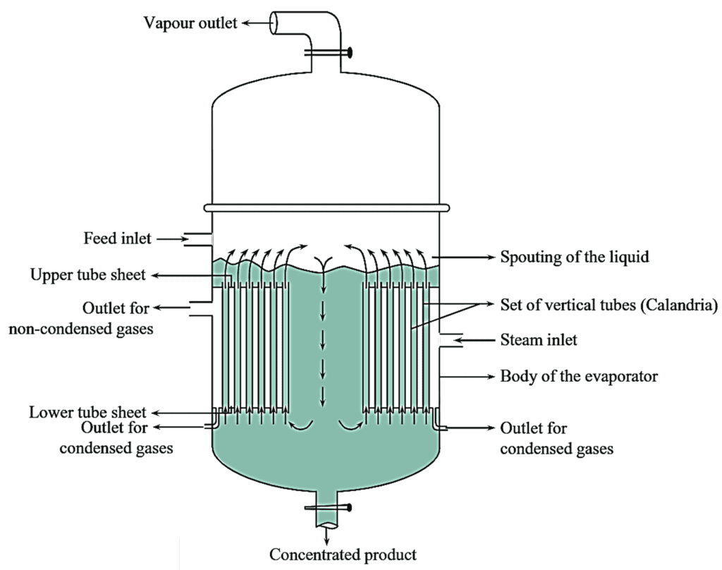 What is Short Tube Vertical Evaporator? Working Principle, Construction